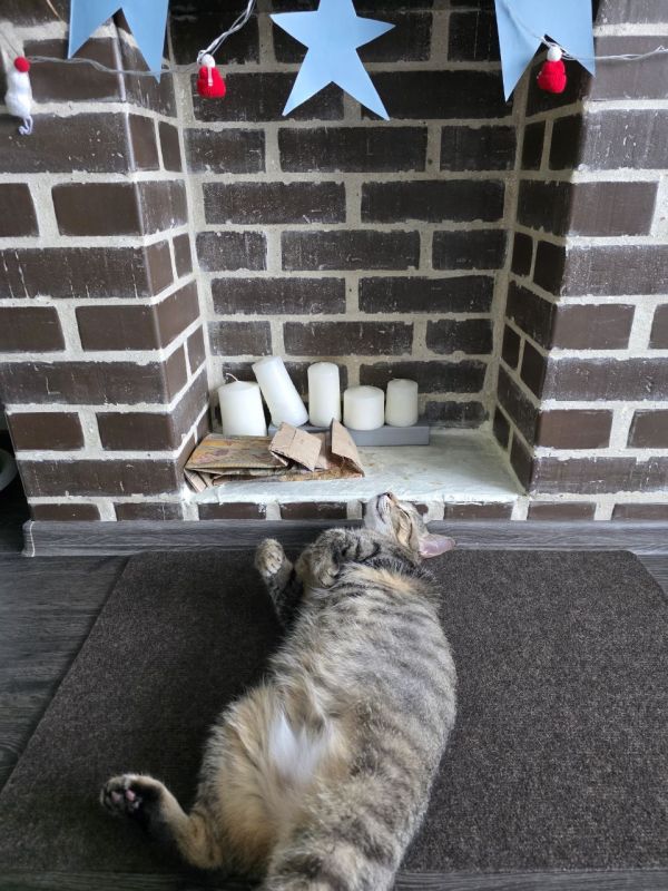 ������� � �����������, 4 ������