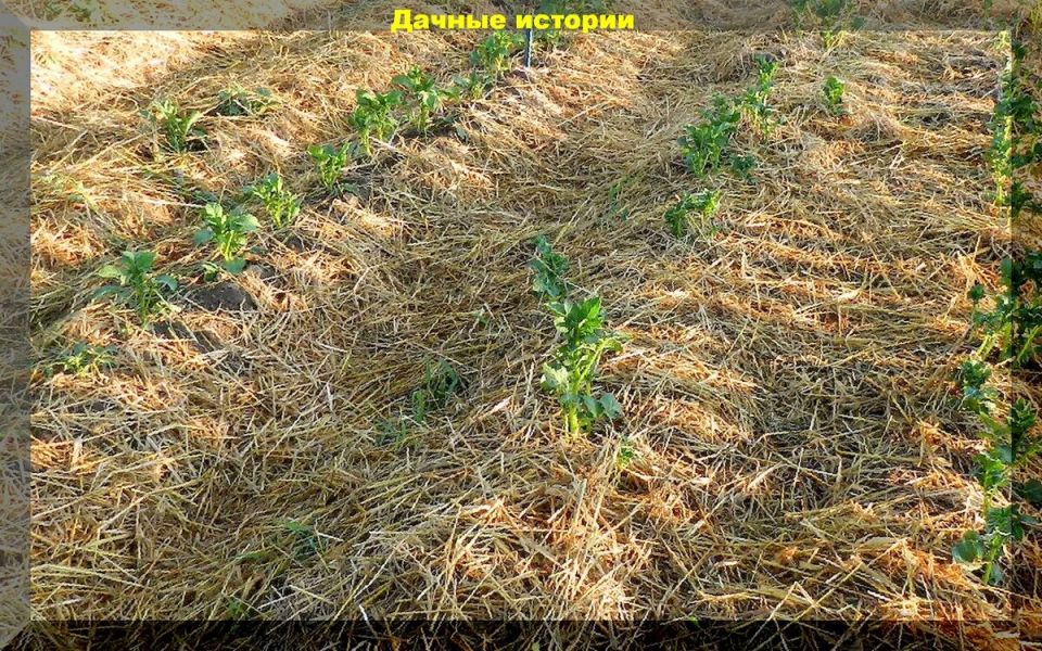 ������������ �������������: ��� ��������� �������� ������ ��� �������� ������ ����