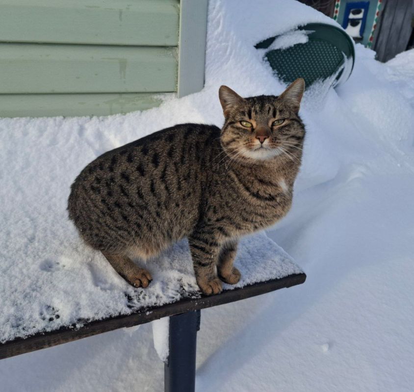 Сегодня - 5 января, понедельник