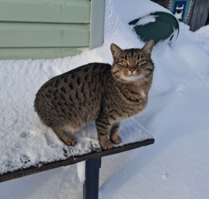 Сегодня - 5 января, понедельник