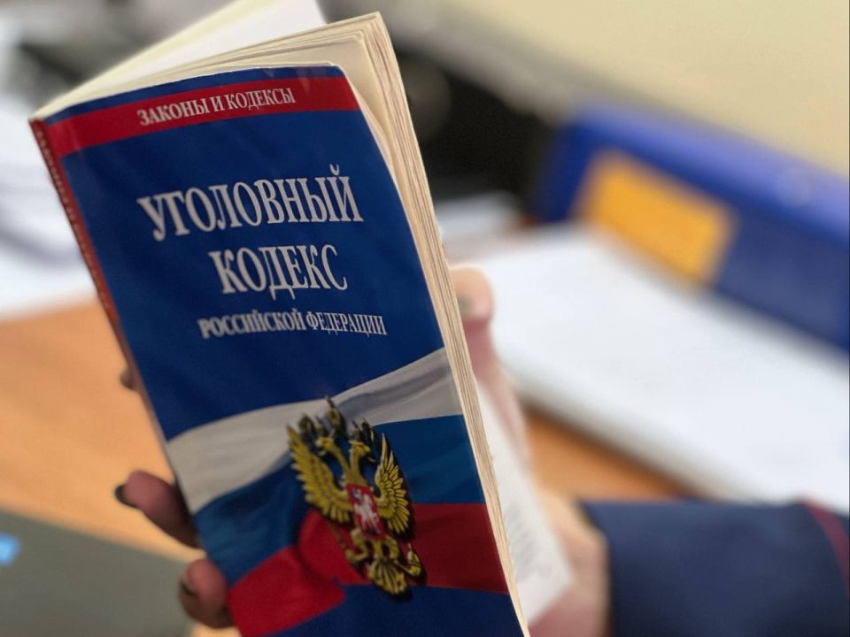 В Балашове следователями СК возбуждено уголовное дело после травмирования женщины в результате падания ветви дерева