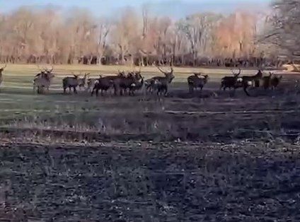 � ����������� ������� ����������� ����� ����� �� ������, �����������