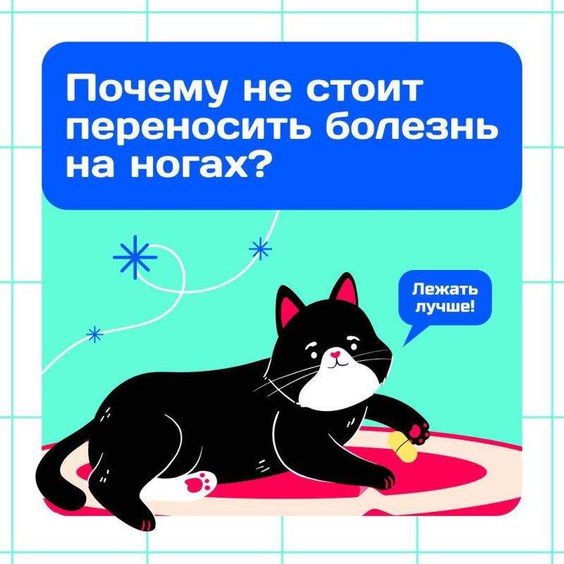 ������ ��� ��������?. ������ �� ��� ��������� �������� ������, ��� �������� � ����� ��������