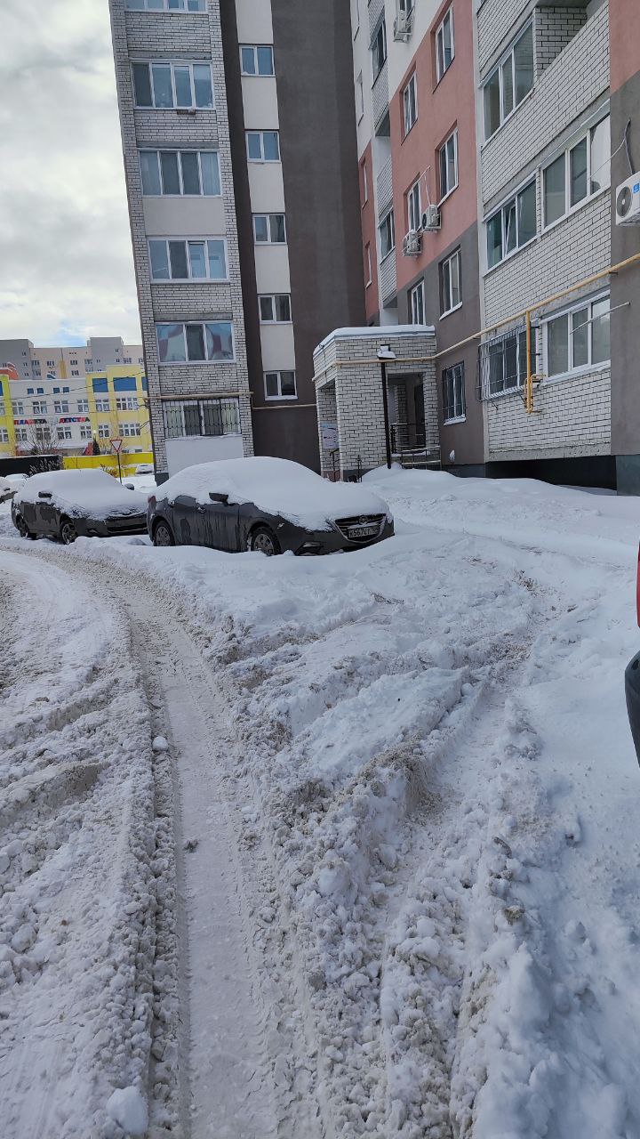 Депутаты проводят мониторинг уборки снега на придомовых территориях Депутаты проводят мониторинг уборки снега на придомовых территориях