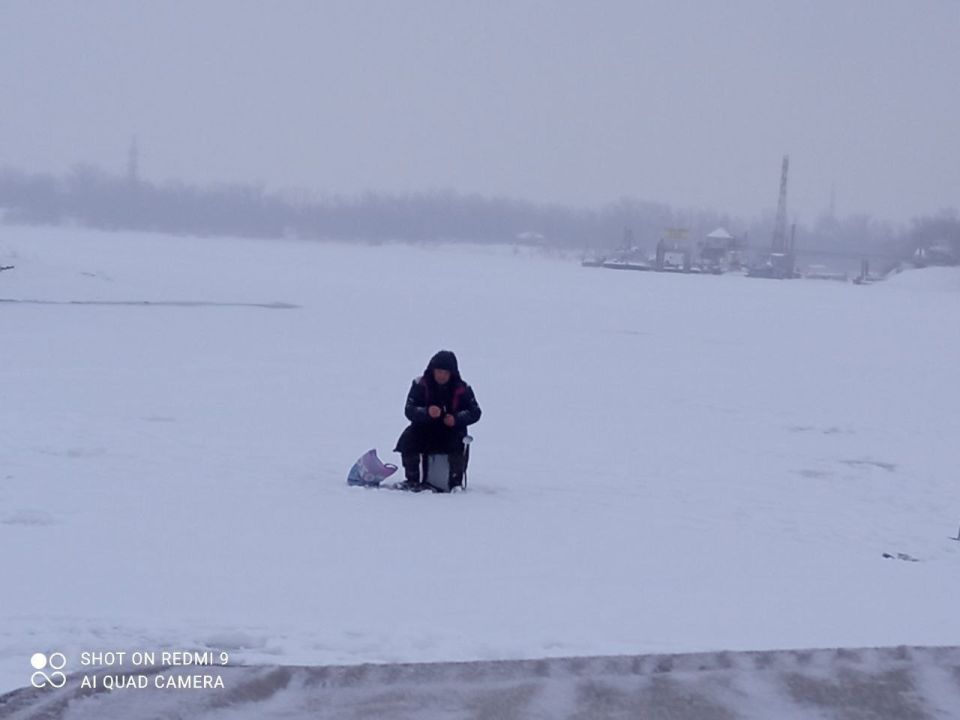 ������� ������� ���������������� ���� �� ������������ �� ����