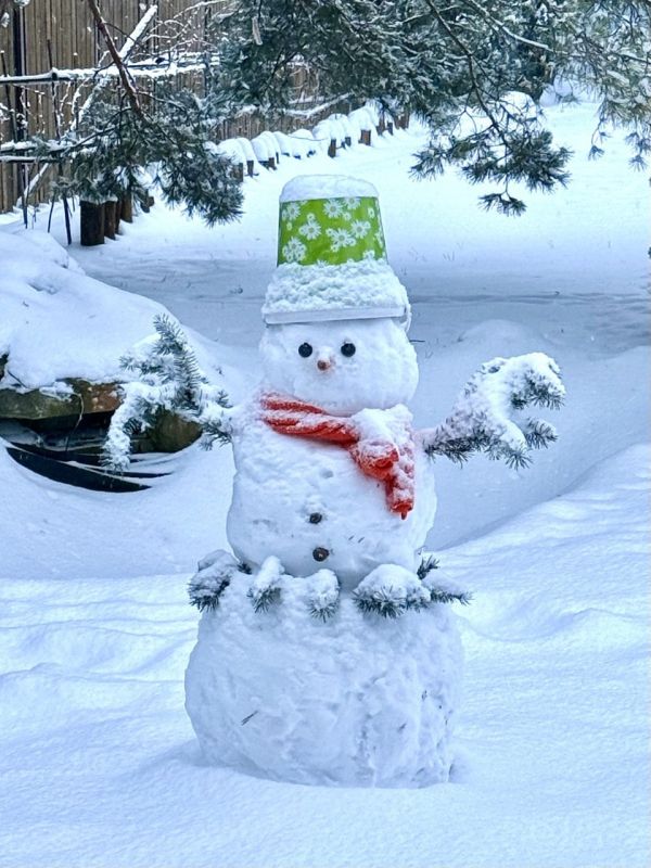 А вы уже слепили своего снеговика?