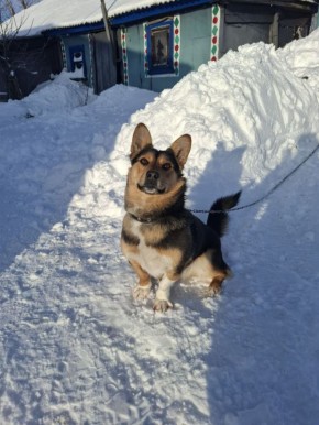 ������� 6 ������, �������. � ����������� ������� ���� ����� ������� � ������������