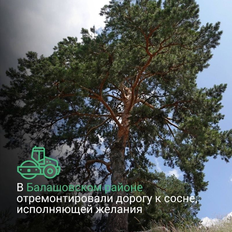 � ����������� ������� ��������������� 15 ����� � �������� �������