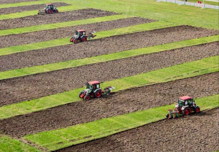 ����������� �������� ���������� � ������� � ����������� ��������� ������ ������������� ���� � 2025�