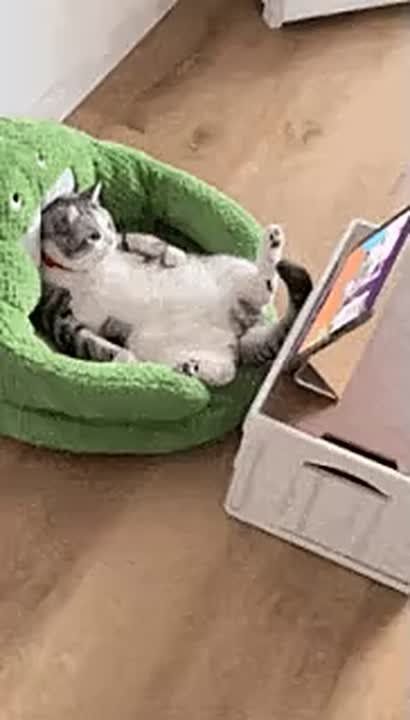 А вы уже успели пересмотреть любимые новогодние советские фильмы? Да-да, те самые, под которые строгаем салатики к столу