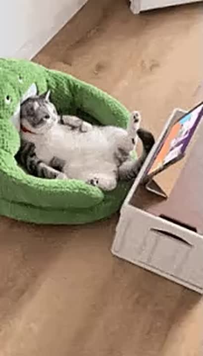 А вы уже успели пересмотреть любимые новогодние советские фильмы? Да-да, те самые, под которые строгаем салатики к столу