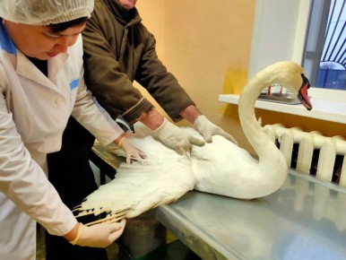 ��� ��������� ���������� ������ ������ ����� ����� �����