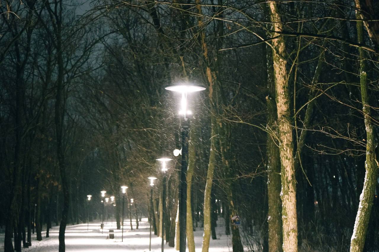 Время огней и тихого счастья