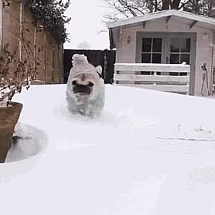 Сегодня — 8 января, четверг