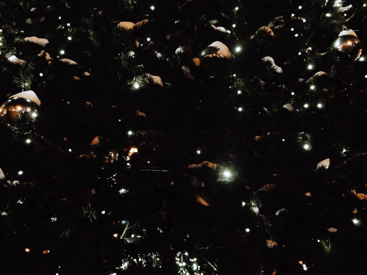 Время огней и тихого счастья Время огней и тихого счастья