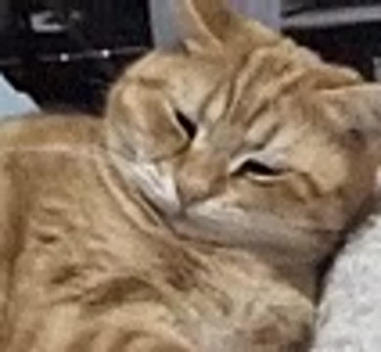 Доброе утро!. Как проходят ваши праздничные выходные? - отдыхаю