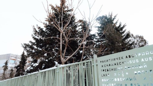 Прекрасная зима