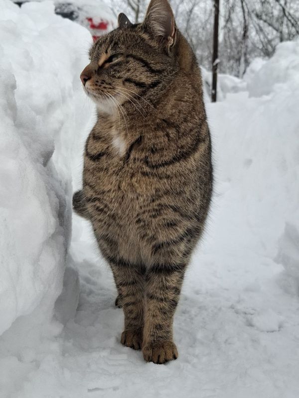 Сегодня — пятница, 9 января