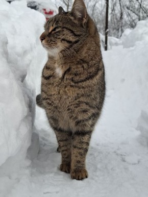 ������� � �������, 9 ������