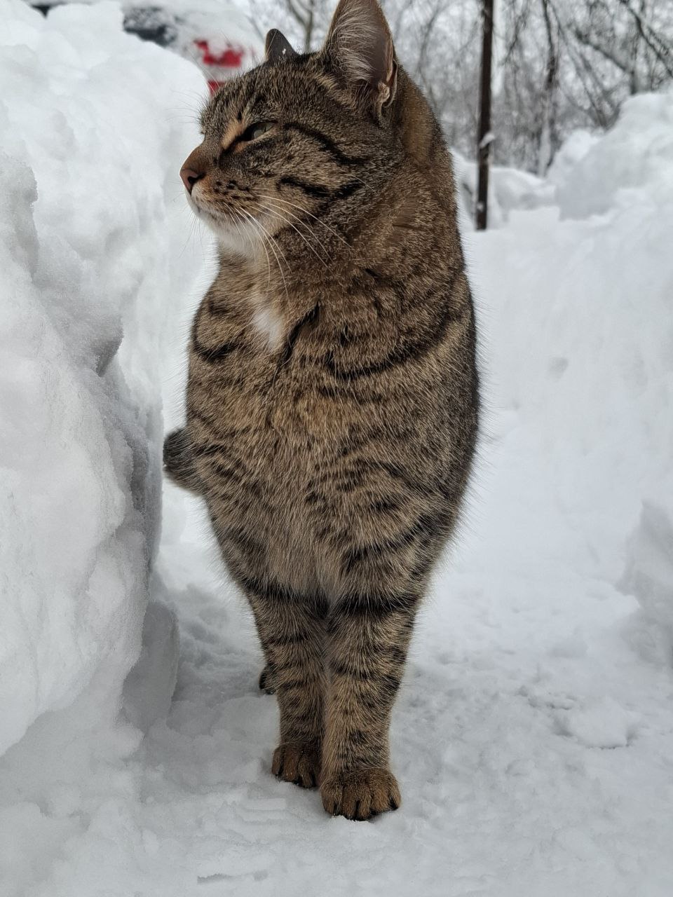 Сегодня — пятница, 9 января