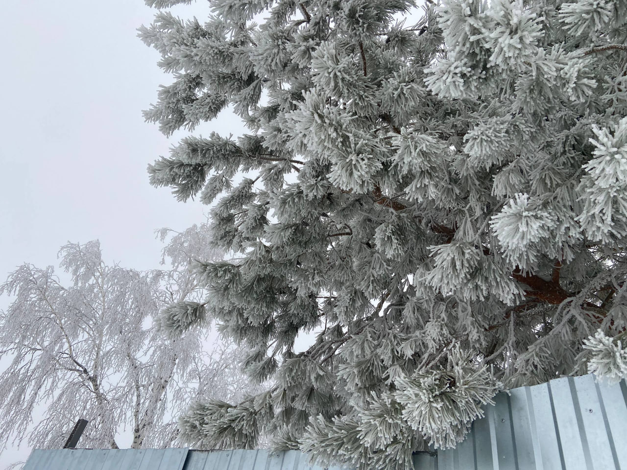 Та самая зимняя сказка от подписчиков Та самая зимняя сказка от подписчиков