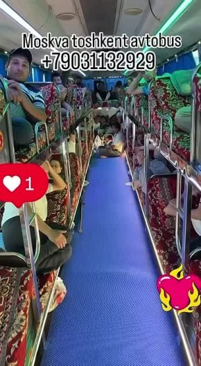 ������ ���������: ���� ������ � ��������, ����� �� ����� ���� � ������, �������, ������������ ���� �� ��