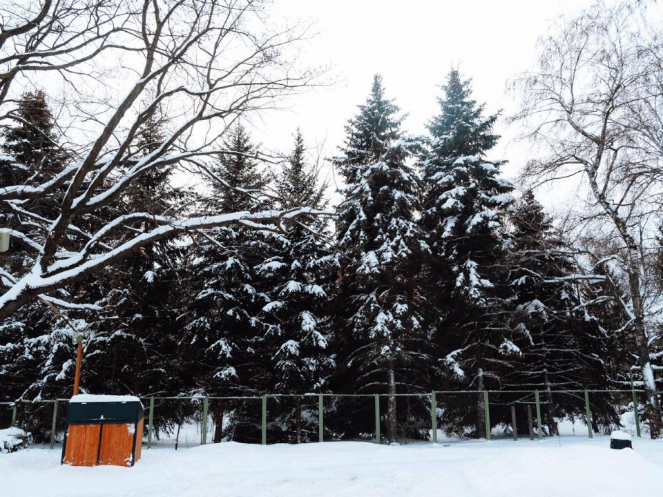 ���� � ����� ����� � ���������� ���� �������