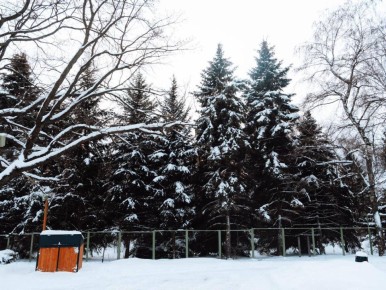 ���� � ����� ����� � ���������� ���� �������