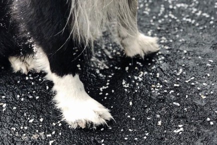 ���������� ����������������� ��������: ��� �������� �������� ��������?