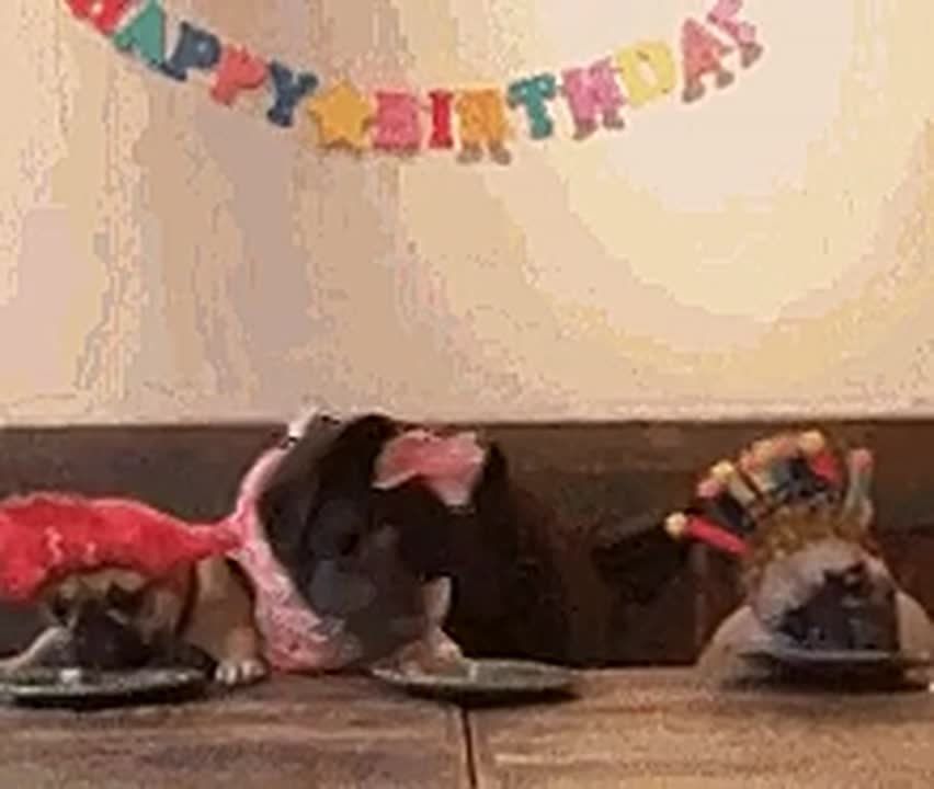 Саратовцам рассказали, почему опасно заедать шампанское сладостями и чистить после этого зубы