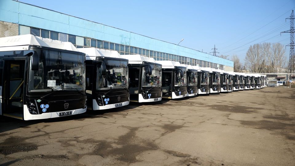 � 15 ������ ������ �������� ����� ���������� �������� �� 8� � 41� �� ������� ������-����������