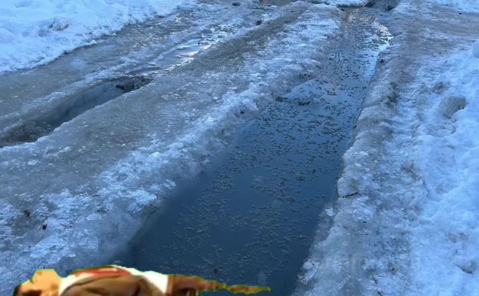 ��������� �������� ����� ���, ����� ������� � ������ ���� ������� ���������)