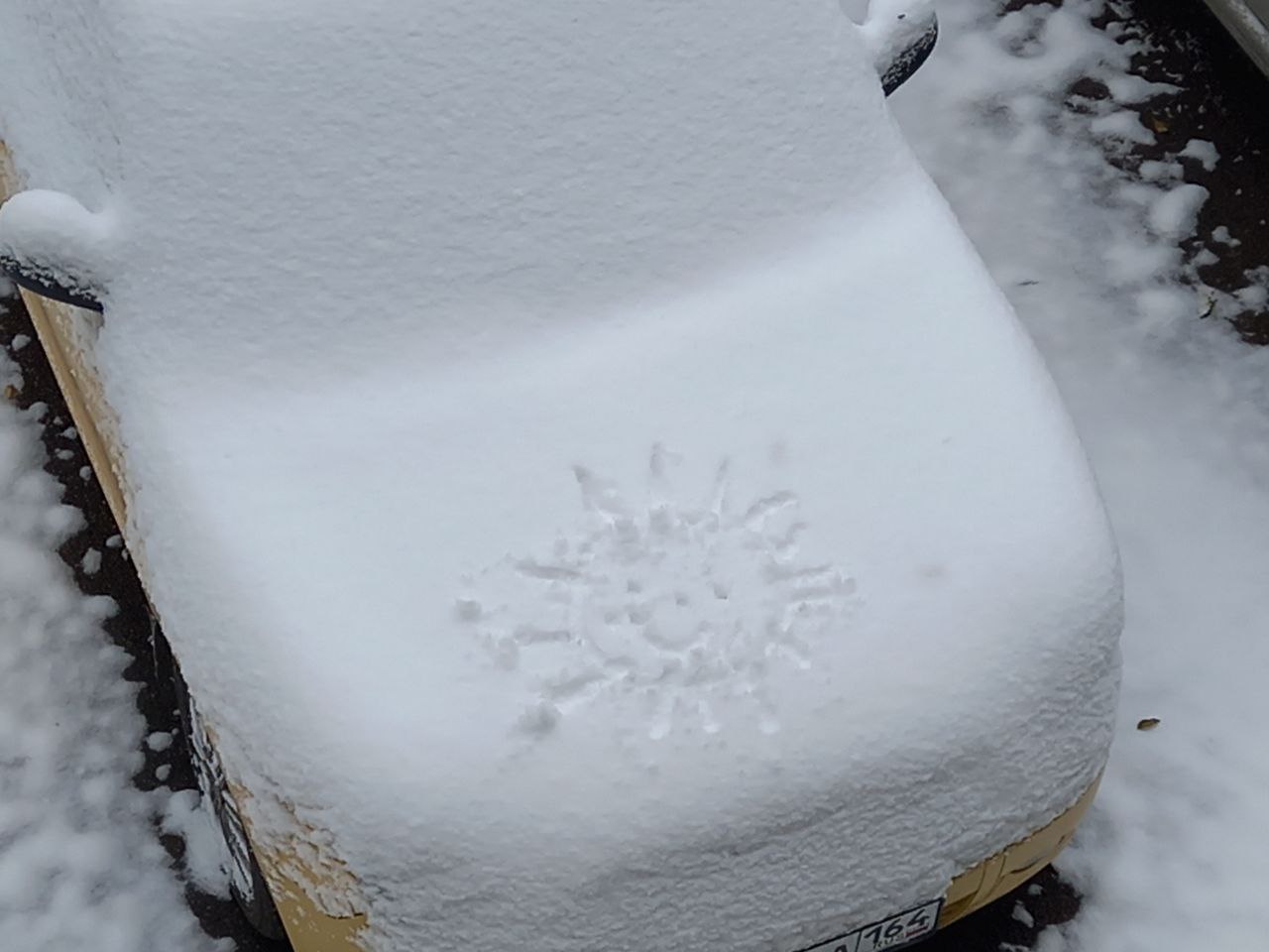 Саратовцам рассказали, как откопать авто из сугроба