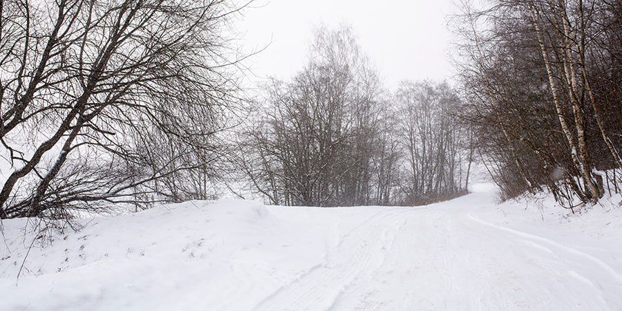 В Саратовской области к концу недели морозы усилятся до -17 градусов