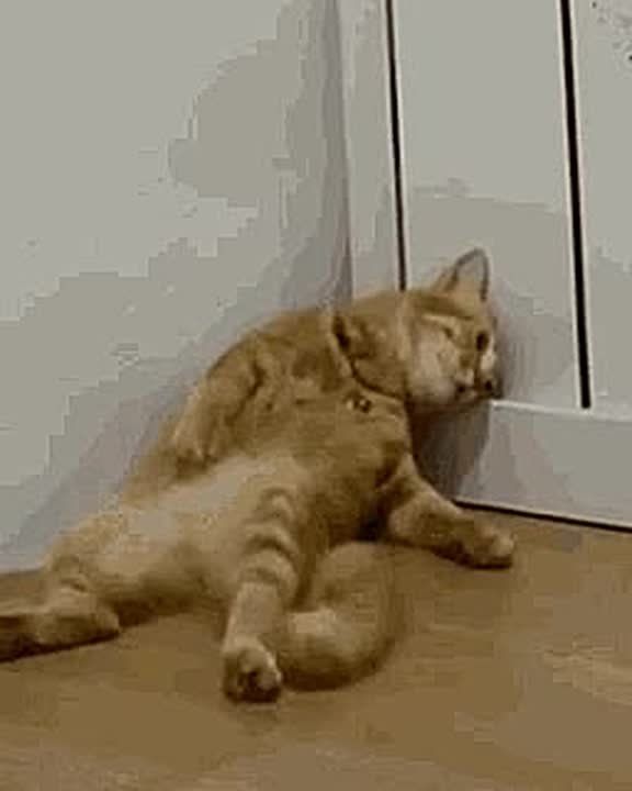 В начале года россияне острее всего ощущает выгорание