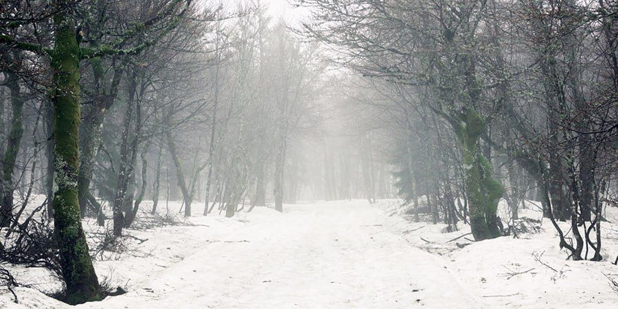 ������� ������ � �������� �������� �� �����, ������ � ����������� �� -2 ��������