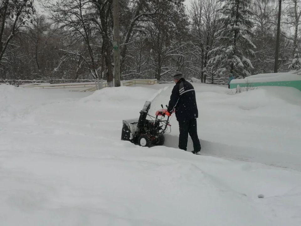 ���������� ������������� ���������� ���������� ����������� �� �����