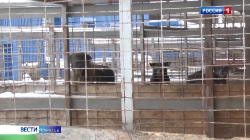 ��������� ������� � ������� �������