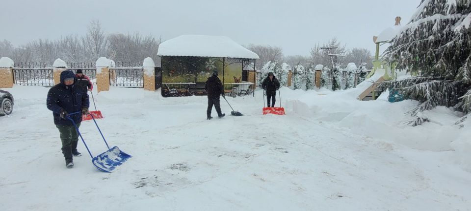 ������������ ������ ����� � ��������� ����������