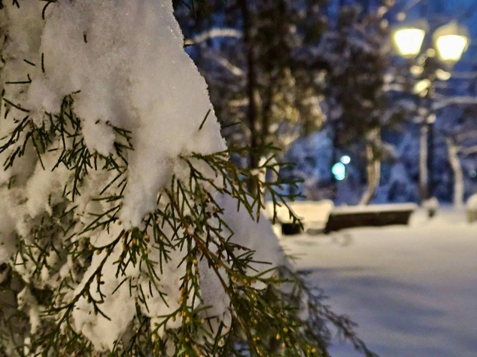 ����� ���� ��������,. � � ��������� �� ����