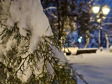 ����� ���� ��������,. � � ��������� �� ����