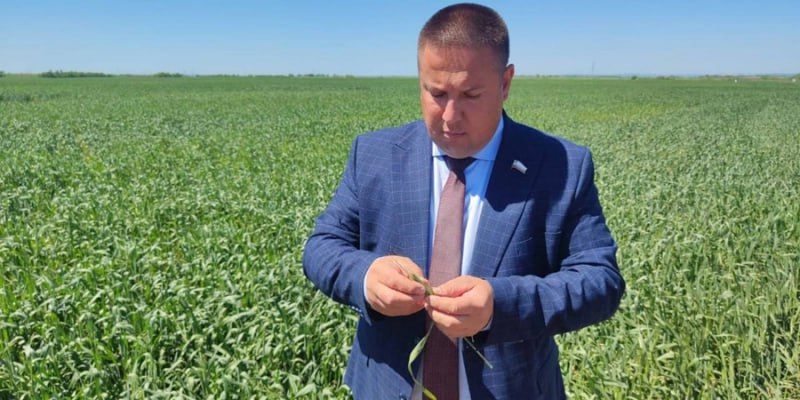 Глава саратовского минсельхоза Роман Ковальский уходит в отставку