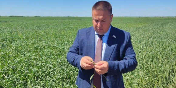 ����� ������������ ����������� ����� ���������� ������ � ��������