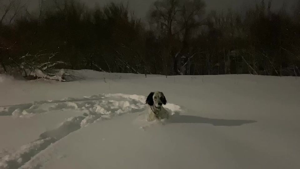 ������� - 13 ������, �������