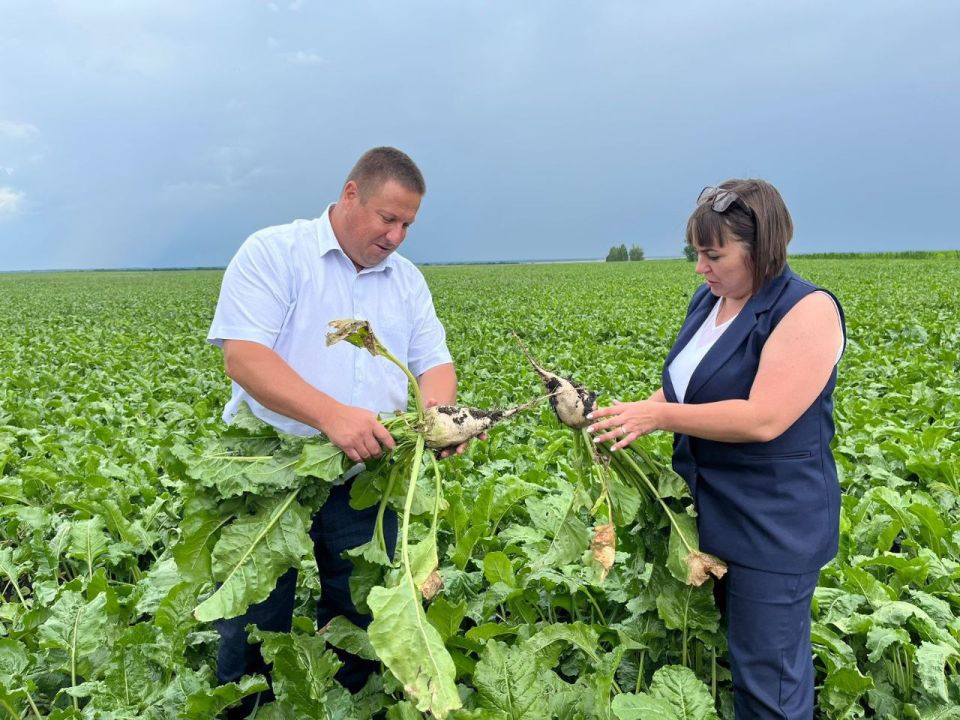 Роман Ковальский освободит кресло министра сельского хозяйства