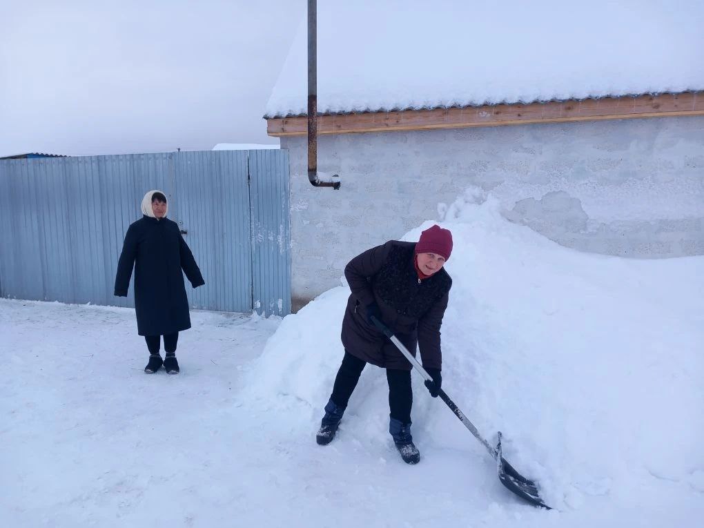 Социальные работники помогают старшему поколению расчищать дворы от снега Социальные работники помогают старшему поколению расчищать дворы от снега