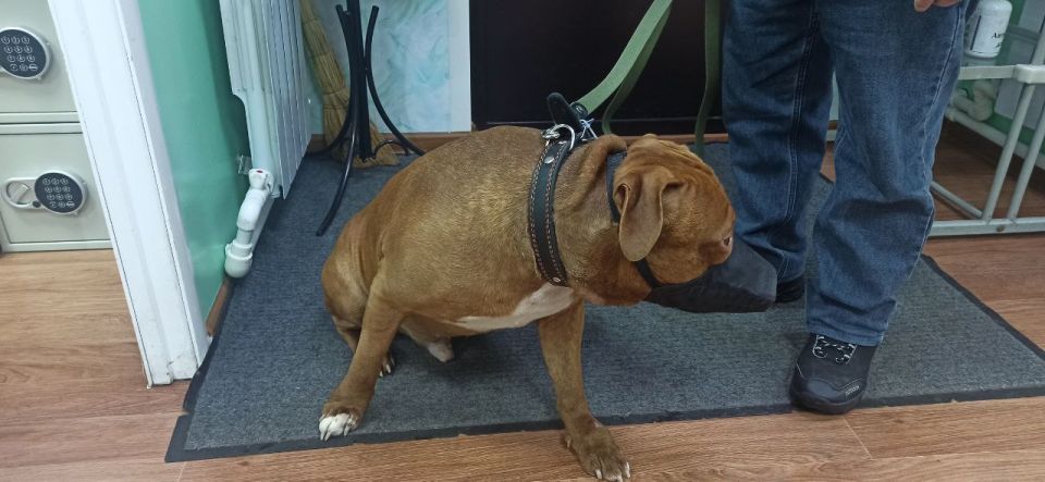 � ����������� ��� ���������� ��������� ��������, ������ �������� � ������ ��������������� ������������