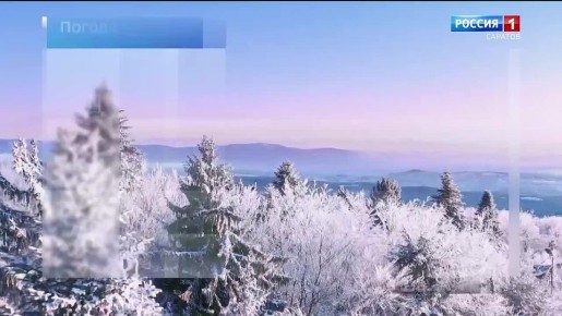 �� 14 ������