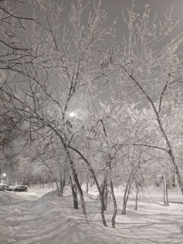 ������� - 14 ������, �����