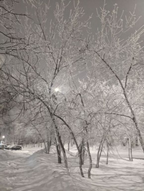 ������� - 14 ������, �����